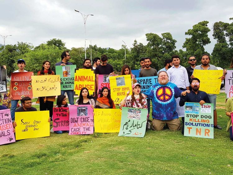 Islamabad residents raise voice against animal abuse | Pakistan – Gulf News