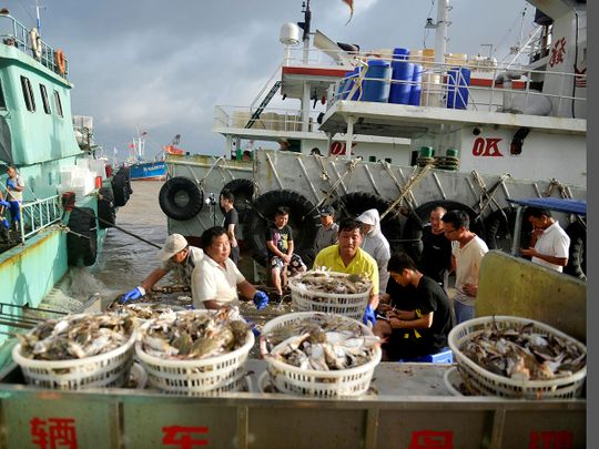 Workers unload seafood -092