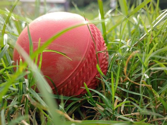 Going for a spin? Cricket club introduces vegan ball