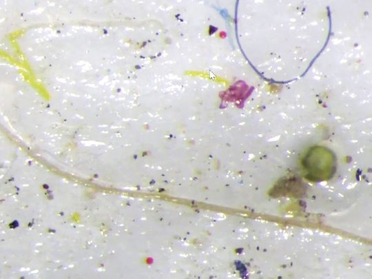 FTC-190818-microplastics-(Read-Only)