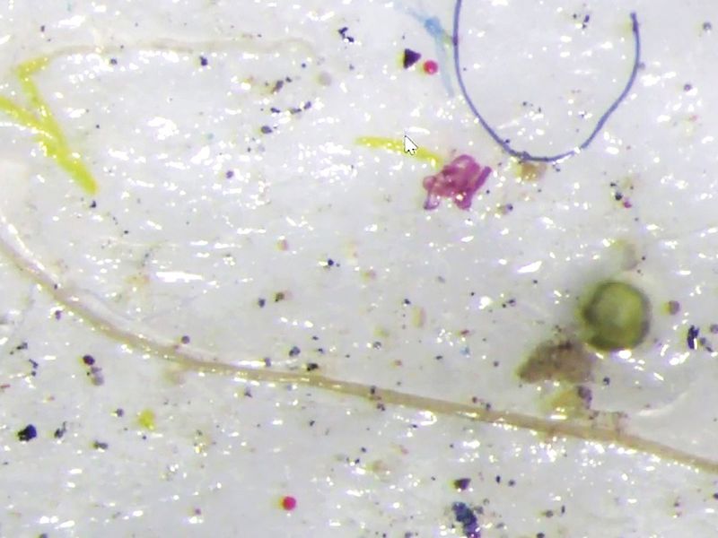 FTC-190818-microplastics-(Read-Only)