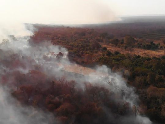 Amazon forest fires 20190823