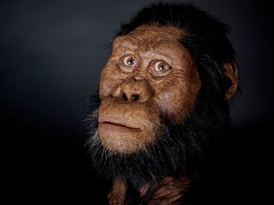 3.8m year old fossil reveals face of Lucy's ancestor | Africa – Gulf News