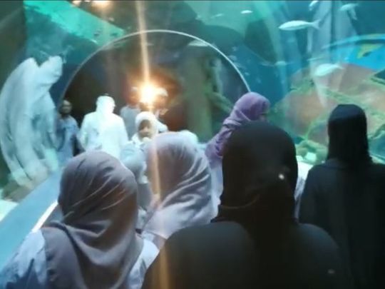 NAT 190906 Inmates from the Sharjah Punitive and Rehabilitation Centre got an opportunity to tour Sharjah Aquarium1-1567774361203