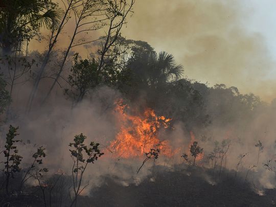 Brazil deforestation rises in August, adding to Amazon fire worries ...