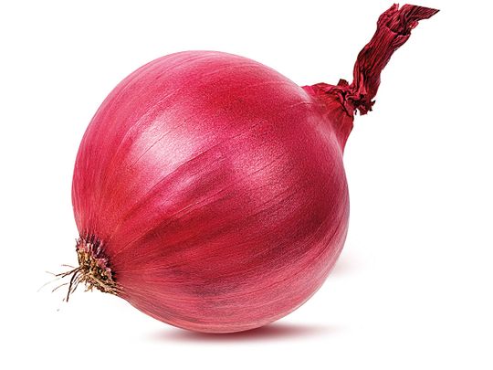 190920 onion 