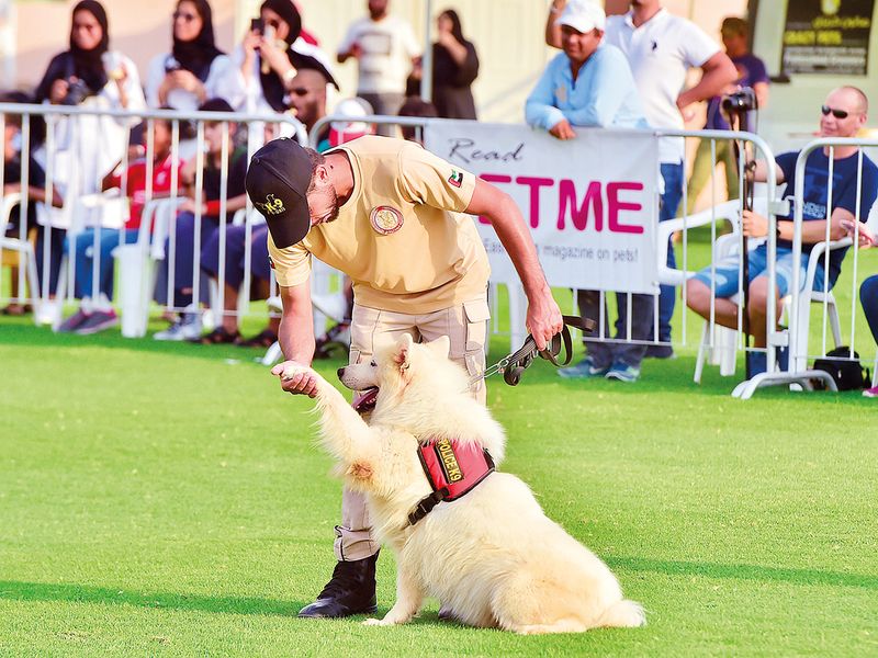 Al Ain Pet Festival 2019