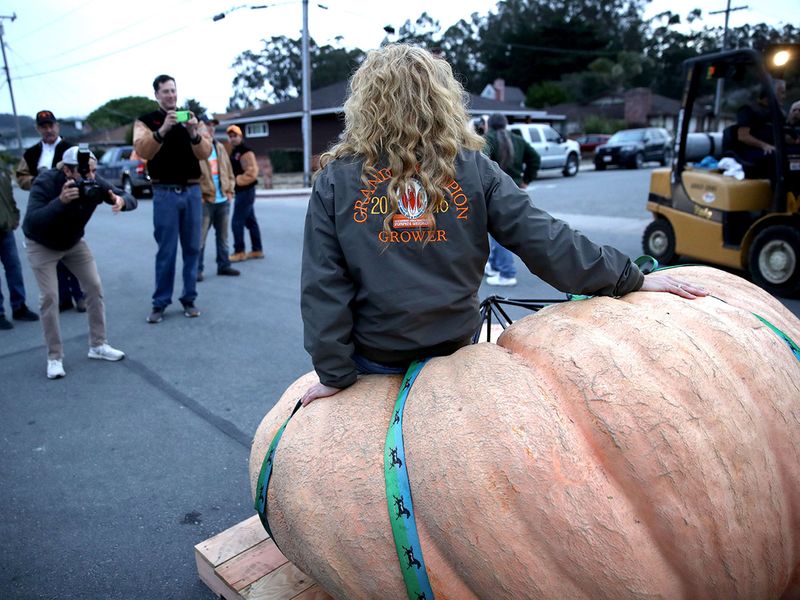 Pumpkin Weigh-Off