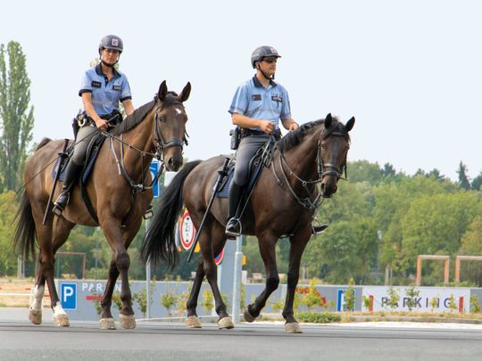 opn police horse-1571826457039