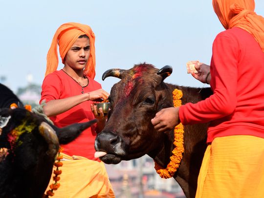 Hindus on the third day of Tihar, the festival of lights, in Kathmandu ...