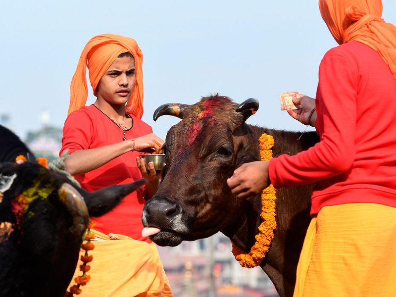 NEPAL-RELIGION-FESTIVAL