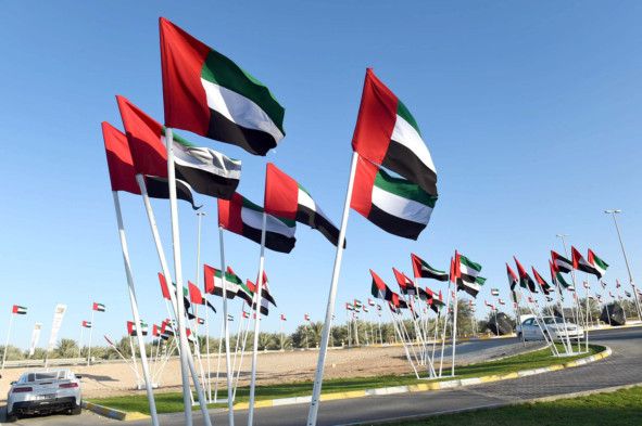 OPN UAE flag day-1572693004173