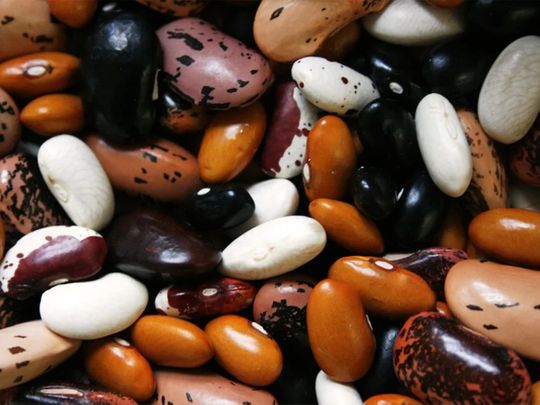 Legumes-rich diet lowers cardiovascular disease risk, improves heart health