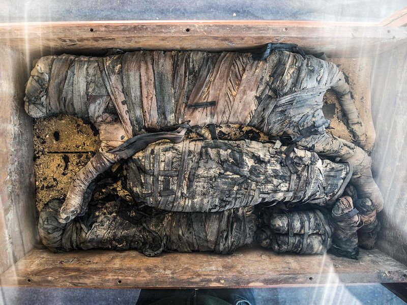 Lion cub mummies feature in huge ancient Egypt find