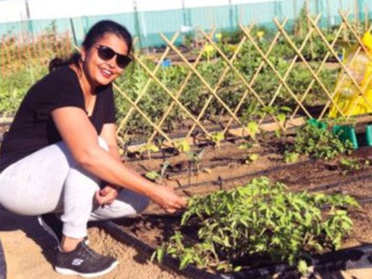 Anu Rajagolan and several other residents tend their plots from September to May