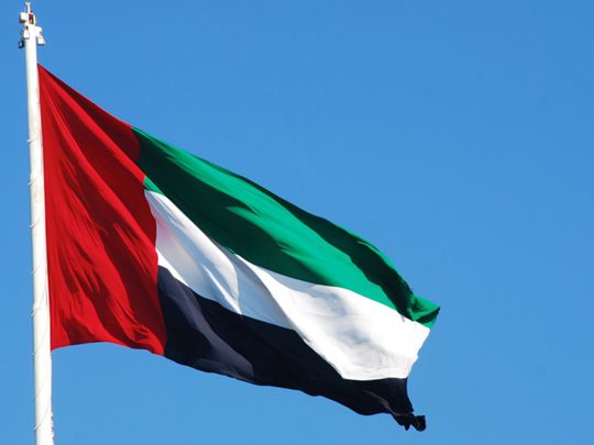 NAT UAE FLAG 676-1575102116050