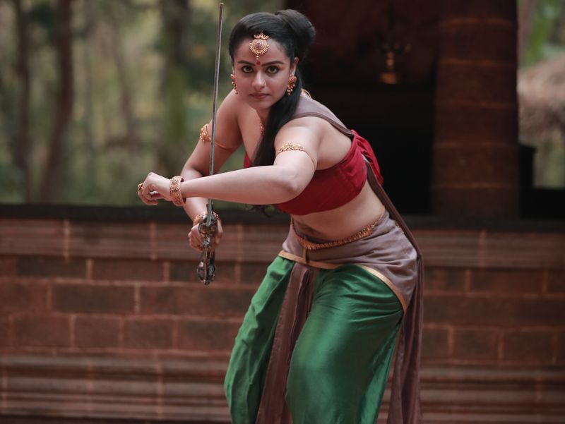Mamangam | Where to watch streaming and online in New Zealand | Flicks