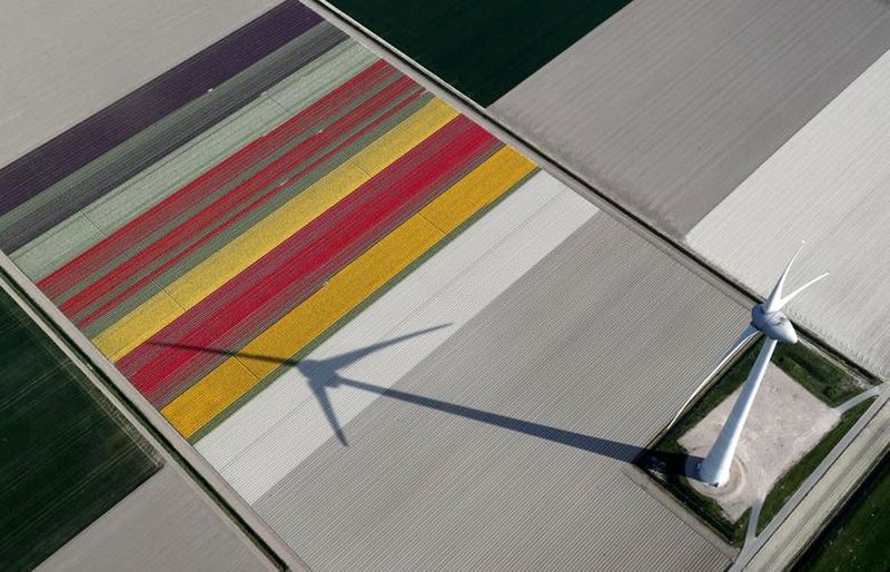An aerial view of tulip fields near the city of Creil, Netherlands April 18, 2019.  