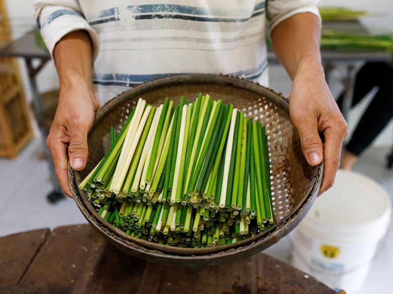 Copy-of-2019-12-18T101451Z_1729023373_RC2MXD9Q3BK3_RTRMADP_3_ASIA-WASTE-VIETNAM-GRASS-STRAWS-(Read-Only)