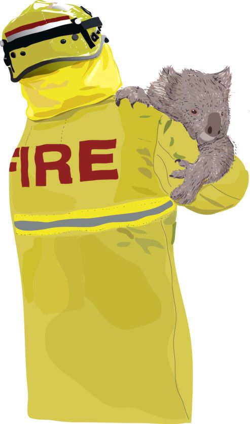 OP newsmaker firefighters koala-1578657214813