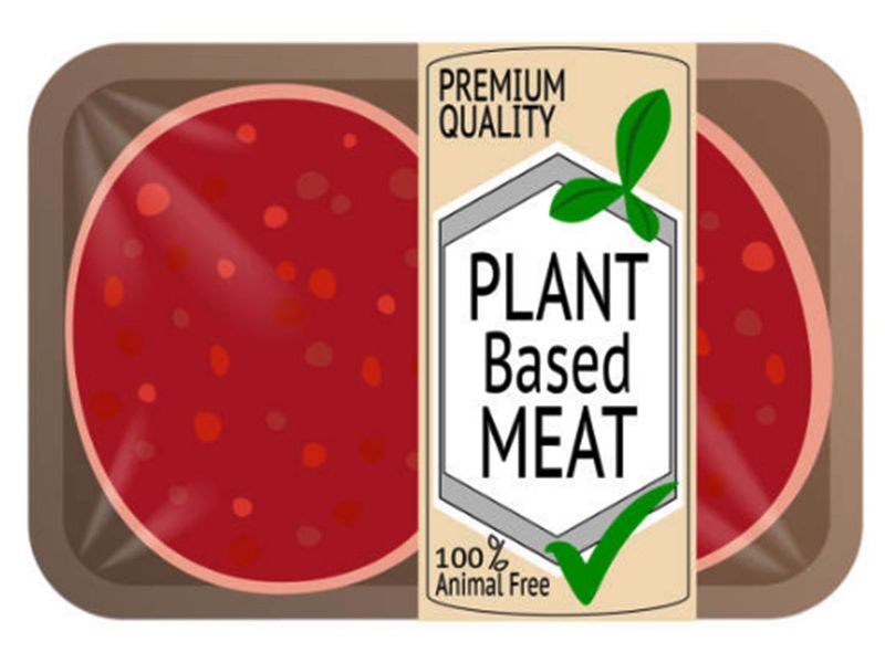 PLANT BASED MEAT