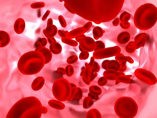 Lower levels of lymphocyte blood cells may be fatal