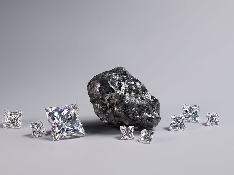 Louis Vuitton buys world&#39;s second largest diamond | Offbeat – Gulf News