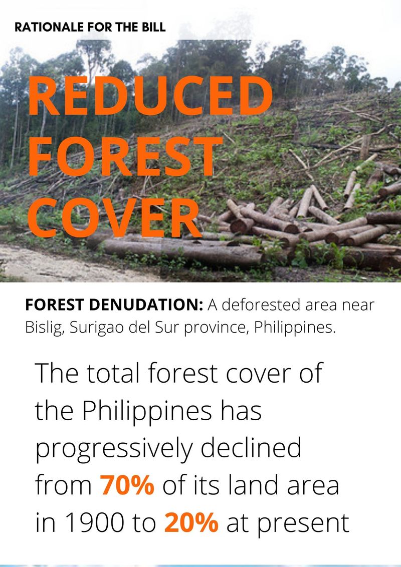 Philippines tree planting fake law