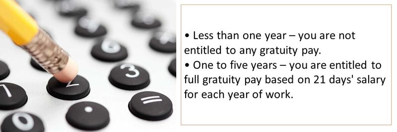 Who is entitled to gratuity 16