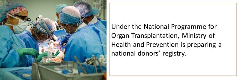Organ transplant 10