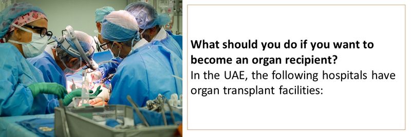 Organ transplant 14