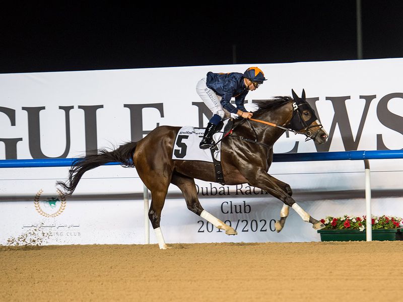 Race 6 in horse racing action in Meydan for the Dubai World Cup Carnival on February 13