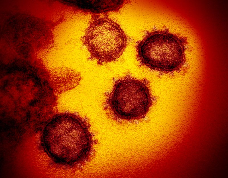 coronavirus covid-19 images