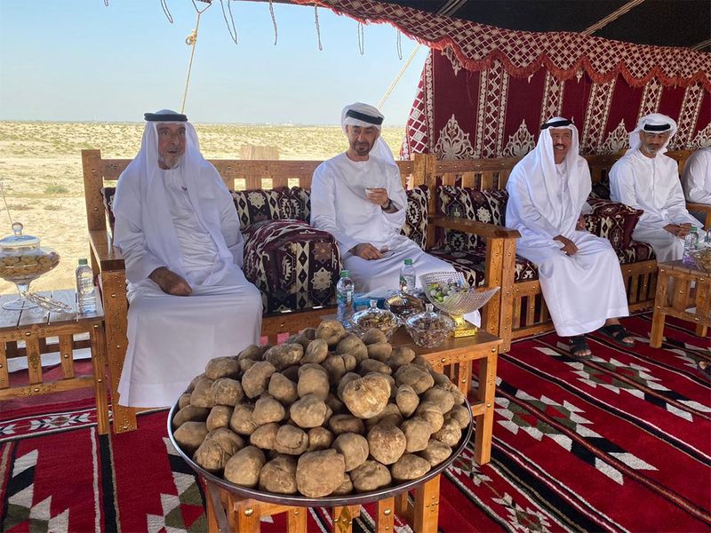 Sheikh Khalifa Bin Zayed Al Nahyan and Sheikh Mohamed Bin Zayed Al Nahyan