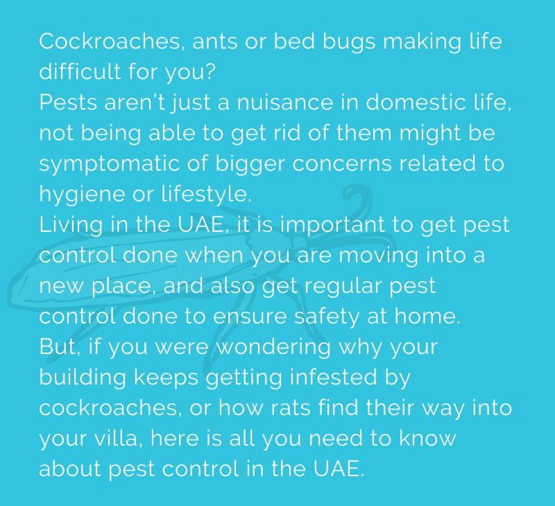 Pest control 3