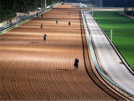 Track work at King Abdulaziz Racetrack 