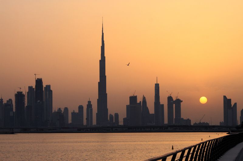 Copy of 22 Dubai Skyline 2017 [1]-1583226875701