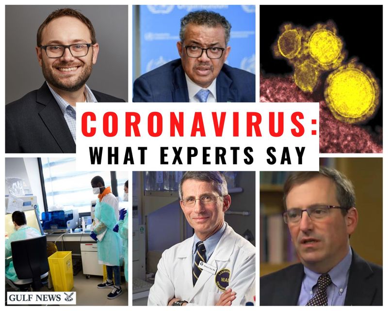 Coronavirus What Experts say