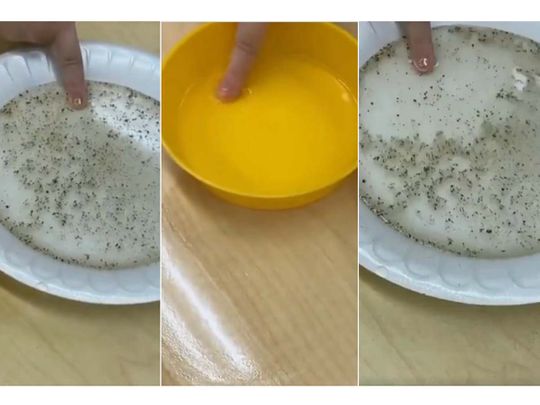 Washing hands video