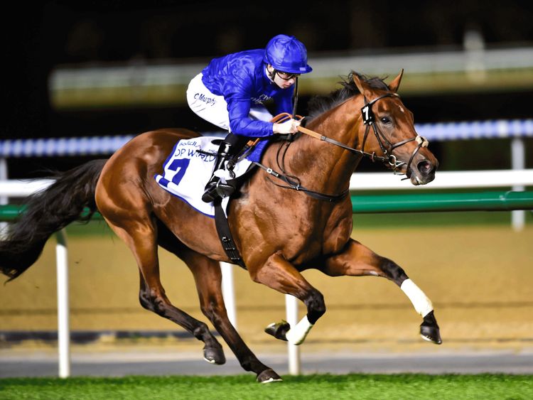 UAE horse racing season to start on October 29 Horseracing Gulf News