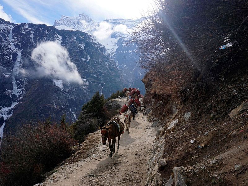 Coronavirus casts shadow over Everest