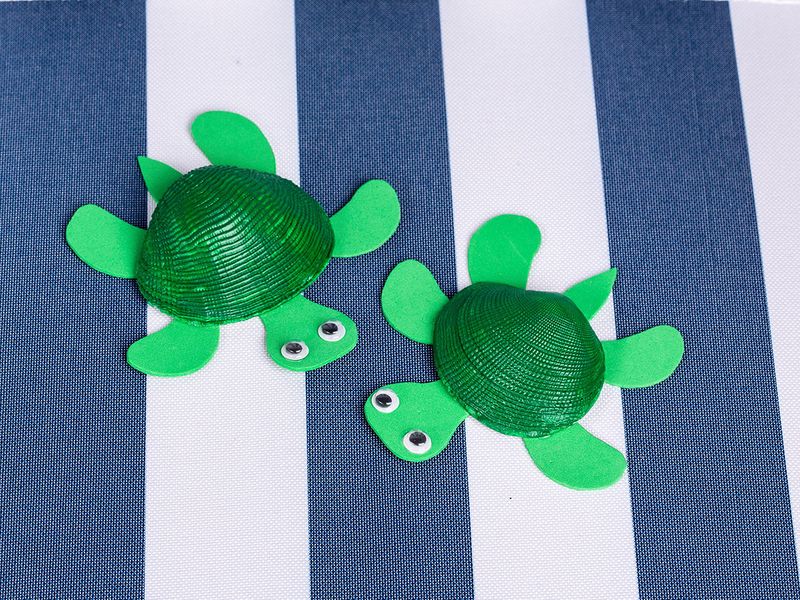 BC diy craft turtles
