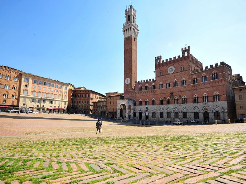 Grass is seen on the Piazza del Campo, that hosts the Palio di Siena horse race twice a year, which has grown only since a strict lockdown has meant crowds of tourists and Italians can no longer visit the square, as the spread of COVID-19 continues, in the medieval city of Siena, Italy. 