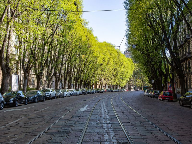 Parked cars line a street devoid of traffic in Milan, Italy. 