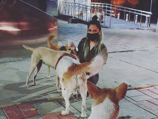 Coronavirus: Student vet in India feeds strays, netizens in Pakistan share  stories of people helping animals | India – Gulf News