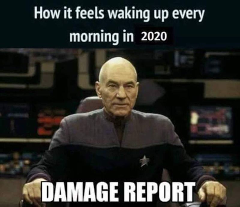 Meme Damage report