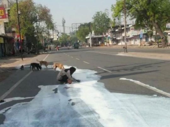 Man, Dogs Sharing Spilt Milk In Agra Shows Lockdown Desperation
