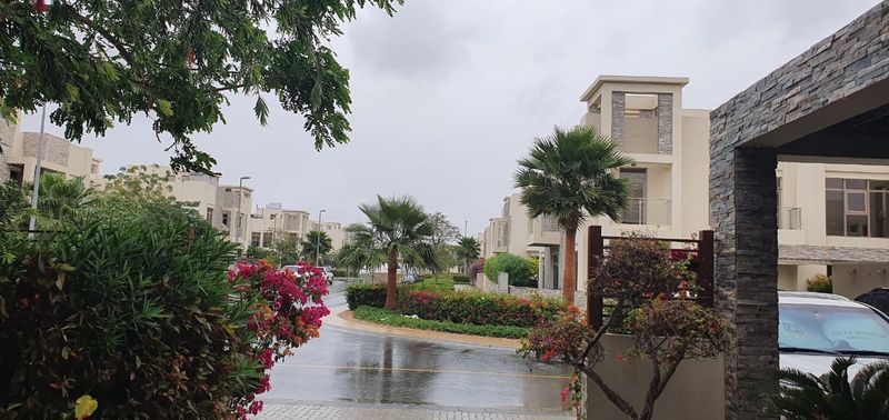 UAE rains
