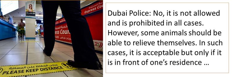 Dubai Police FAQs 61-70