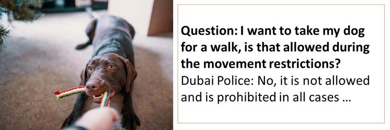 Coronavirus Can I Take My Dog Out For A Walk In Dubai Living Ask Us Gulf News